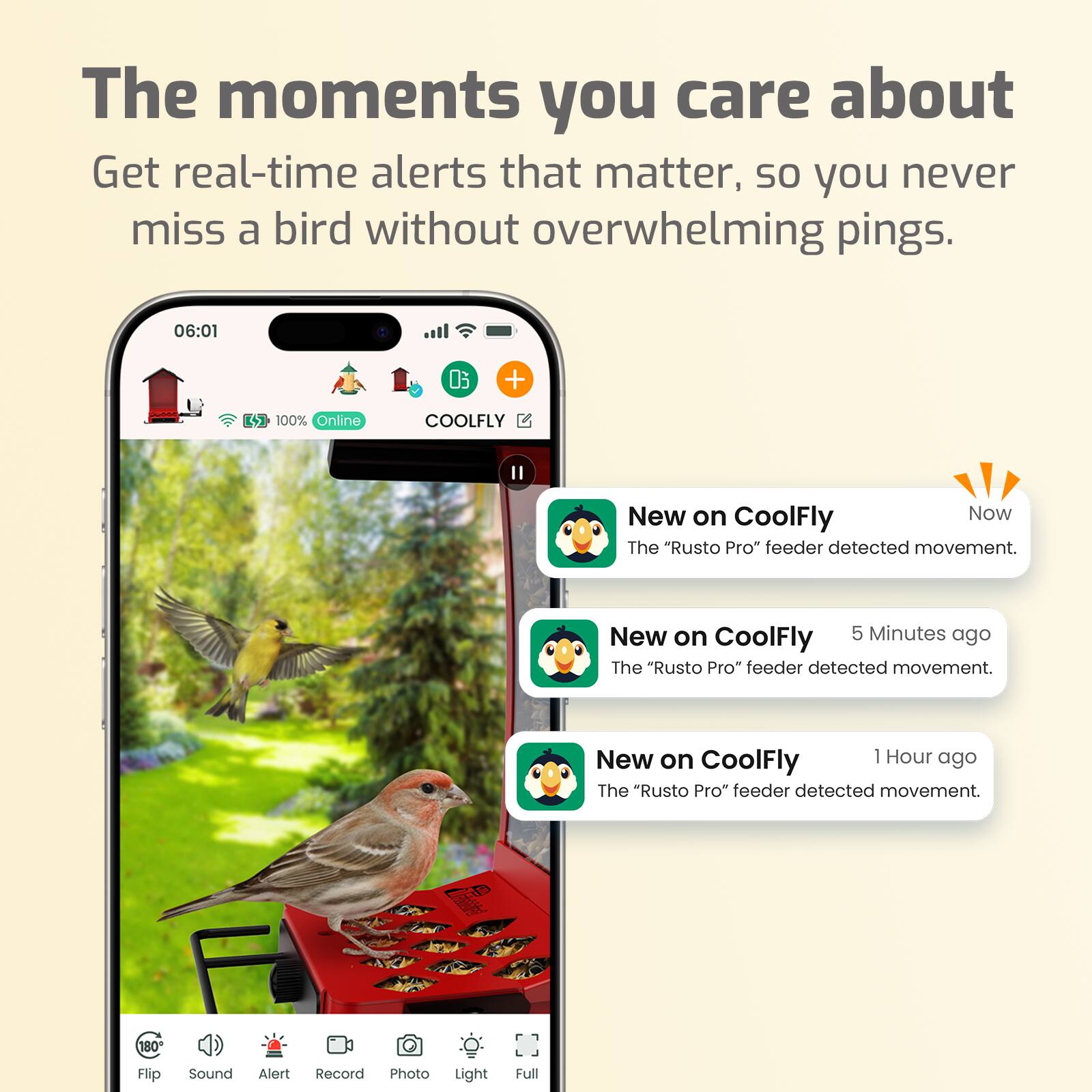 The moments you care about  
Get real-time alerts that matter, so you never miss a bird without overwhelming pings.

06:01  
100% Online  
COOLFLY II

New on CoolFly  
Now  
The "Rusto Pro" feeder detected movement.

New on CoolFly  
5 Minutes ago  
The "Rusto Pro" feeder detected movement.

New on CoolFly  
1 Hour ago  
The "Rusto Pro" feeder detected movement.

180° Flip  
Sound Alert  
Record Photo  
Light  
Full