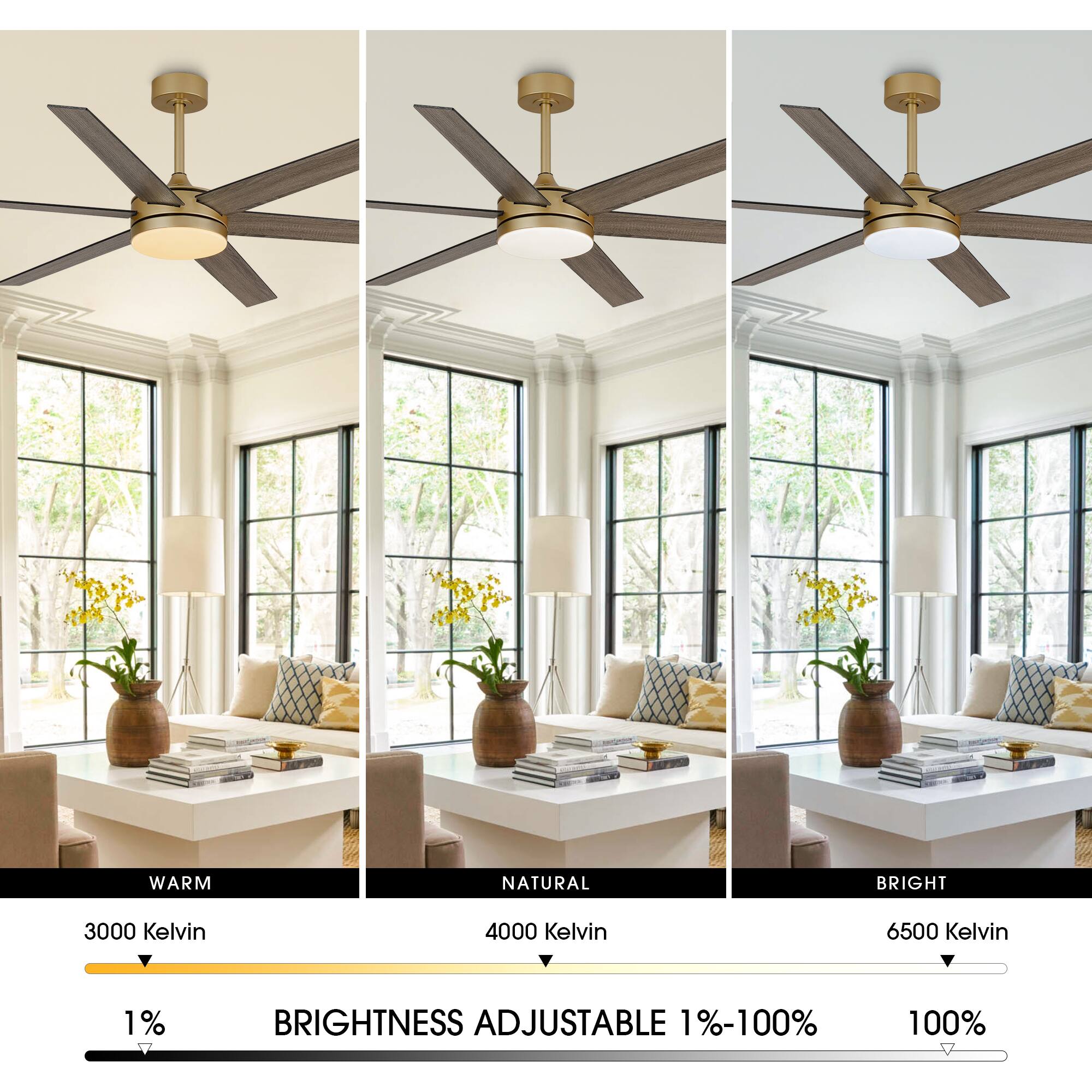 WARM NATURAL BRIGHT  
3000 Kelvin  
4000 Kelvin  
6500 Kelvin  
1% BRIGHTNESS ADJUSTABLE 1%-100%  
100%