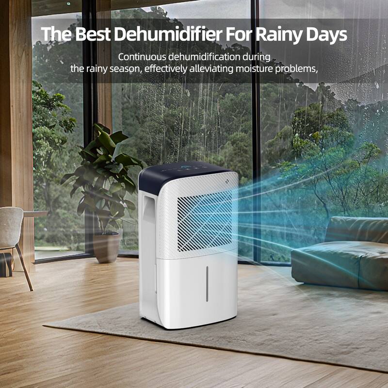 The Best Dehumidifier For Rainy Days

Continuous dehumidification during the rainy season, effectively alleviating moisture problems.