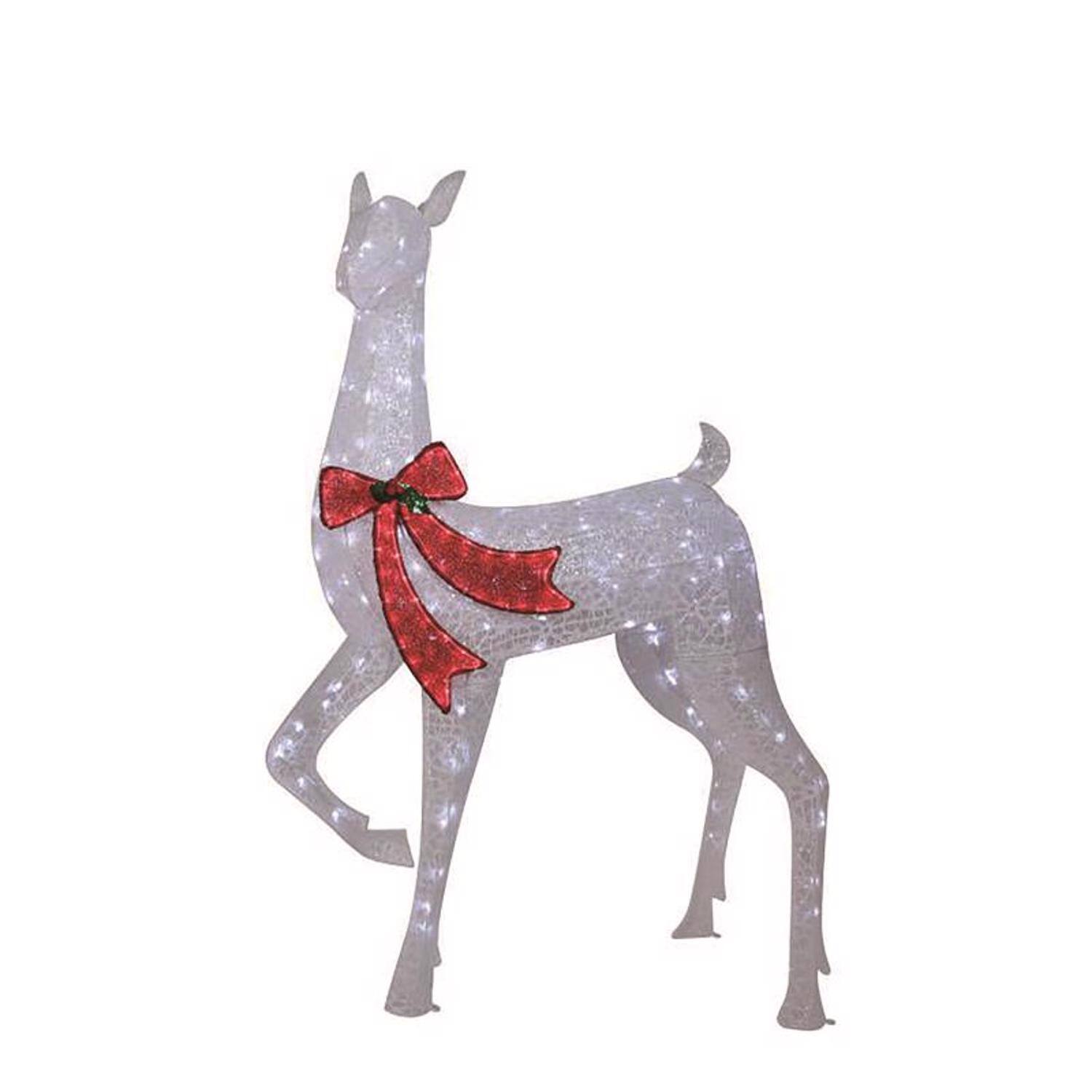 Celebrations - LED Warm White Reindeer 50 in. Yard Decor - White | Red