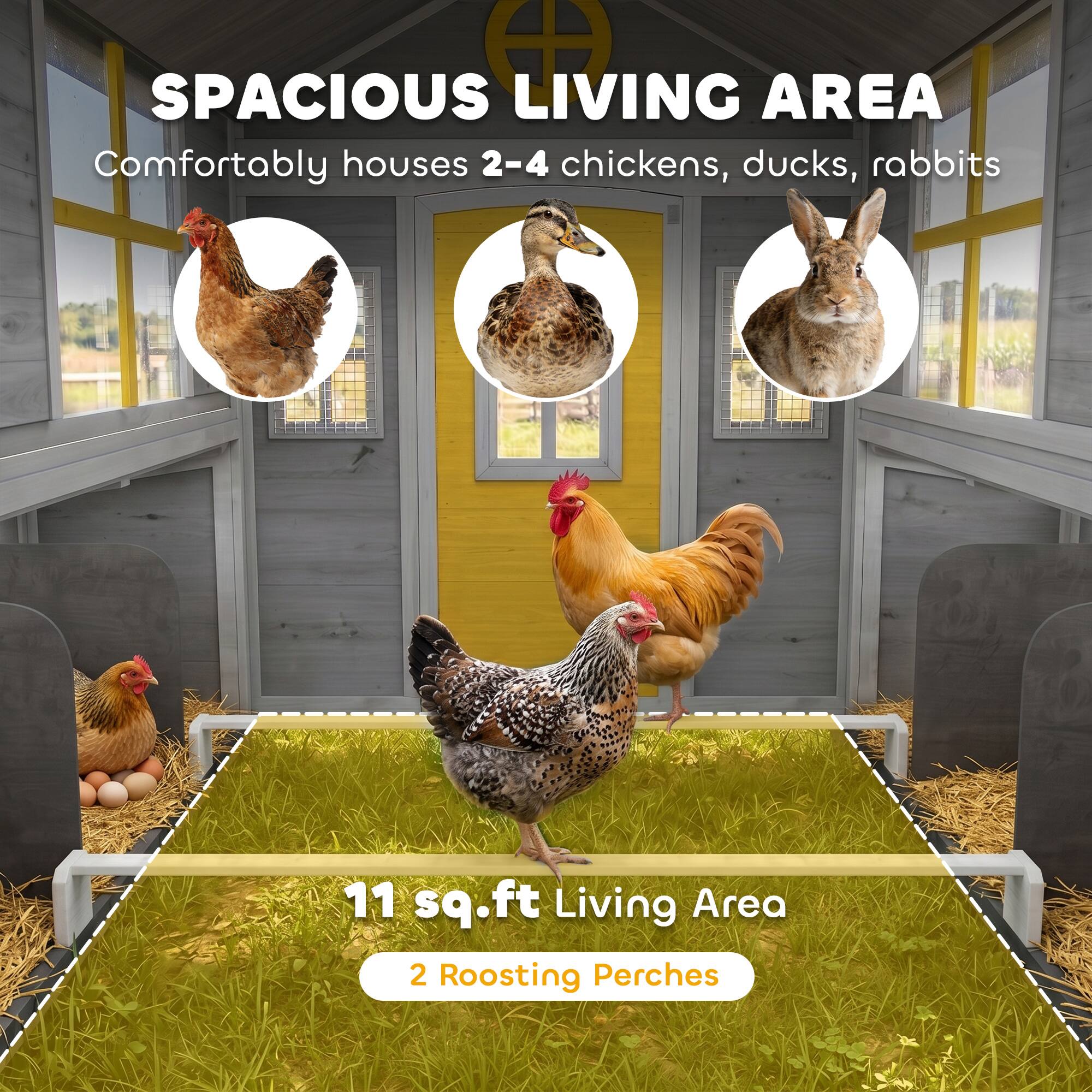 SPACIOUS LIVING AREA  
Comfortably houses 2-4 chickens, ducks, rabbits  

11 sq.ft Living Area  
2 Roosting Perches