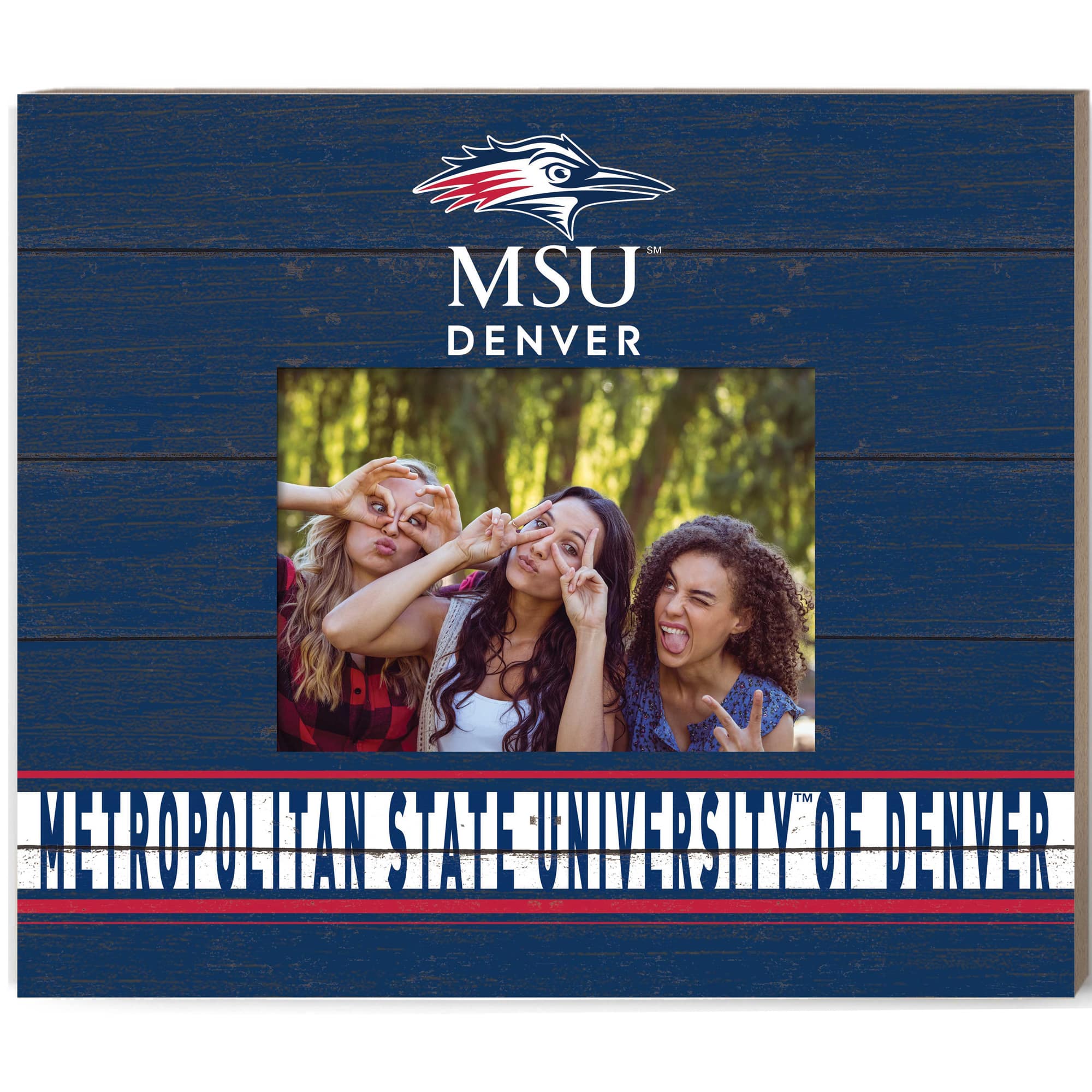 Jardine - MSU Denver Roadrunners 11'' x 13'' Team Spirit Scholastic Picture Frame - Navy price history on PriceWatchPro