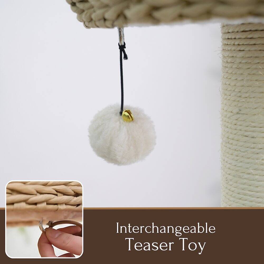 Interchangeable Teaser Toy