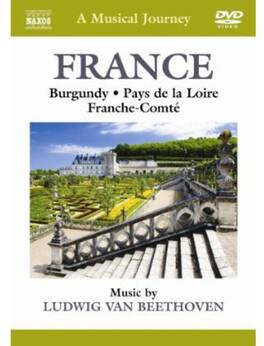Ludwig van Beethoven - Musical Journey: France - DVD