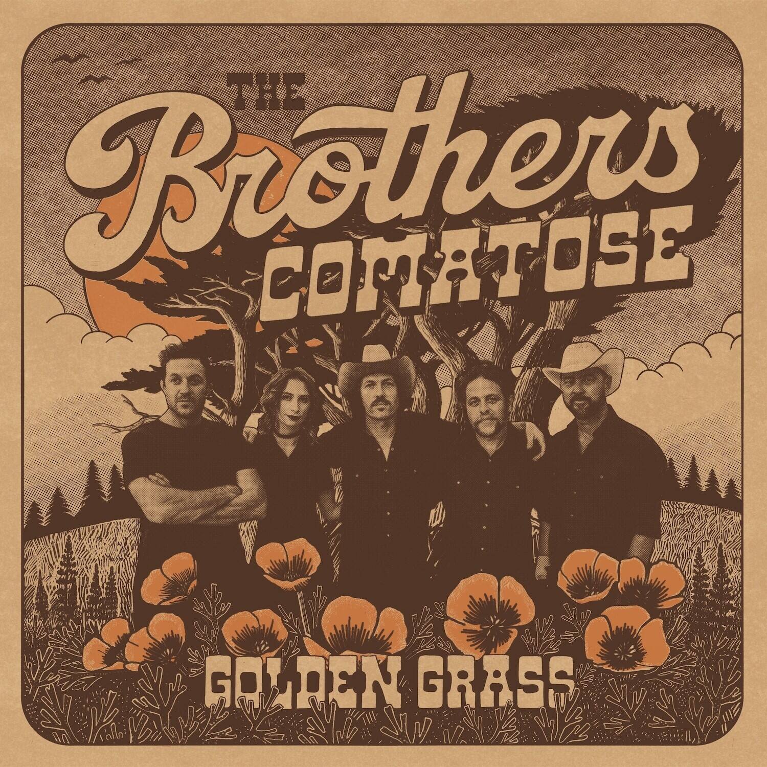 The Brothers Comatose - Golden Grass   - COMPACT DISCS [CD] price history on PriceWatchPro