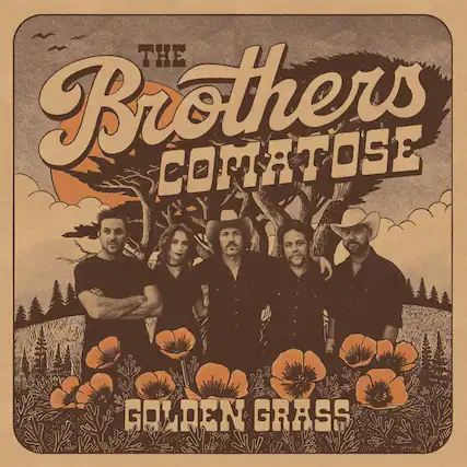 The Brothers Comatose
Golden Grass