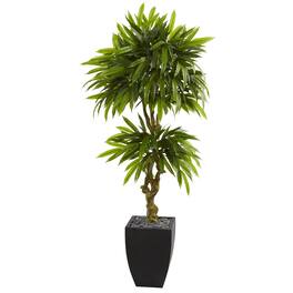 BreeBe - Mango Tree in Black Planter UV Resistant (Indoor/Outdoor) - Green