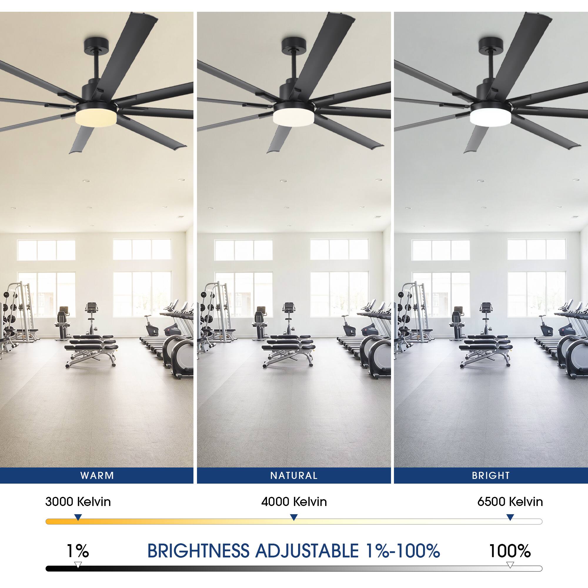 WARM NATURAL BRIGHT  
3000 Kelvin  
4000 Kelvin  
6500 Kelvin  
1% BRIGHTNESS ADJUSTABLE 1%-100%  
100%