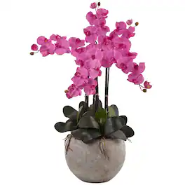 BreeBe - 36" Phalaenopsis Orchid Arrangement with Sand Colr - Dark Pink