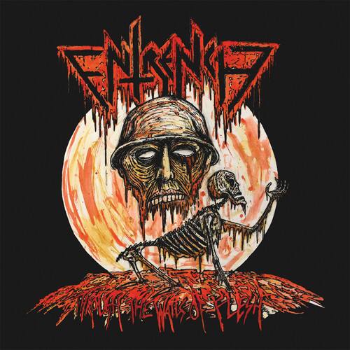 Entrench - Through The Walls Of Flesh   - COMPACT DISCS [CD] price history on PriceWatchPro
