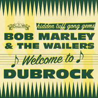 Welcome to Dub Rock [LP] - VINYL - Front_Zoom