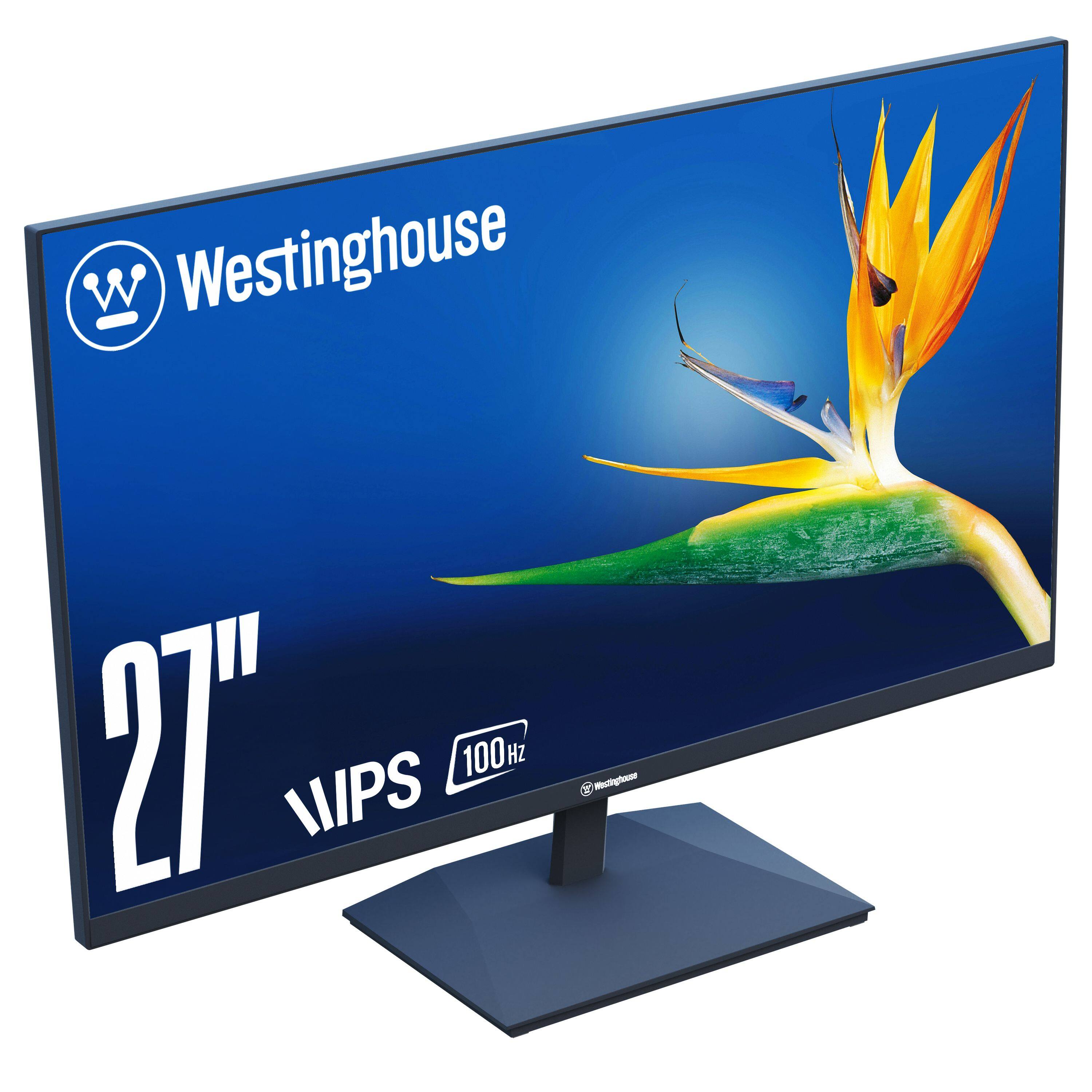 Westinghouse 27" WIPS 100Hz monitor.