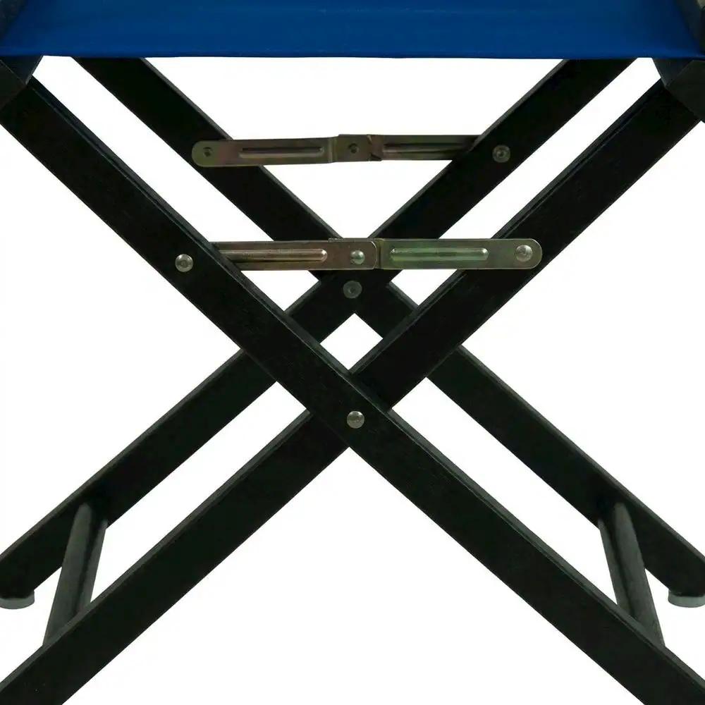 Alt View 1. FurniFact - Blue Director's Chair - Black Frame/Royal Blue Canvas.