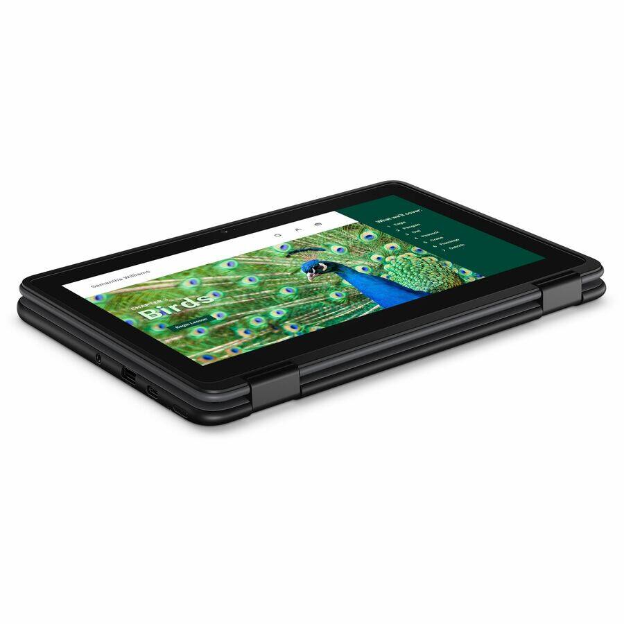 Sure, here is the corrected and grouped text:

**Title:**
- Samantha Wilson

**Main Content:**
- Birds

**Categories:**
- Animals
- Nature
- Wildlife
- Photography

**Subcategories:**
- Birds
- Peacocks
- Nature Photography

**Description:**
- Peacocks in a garden