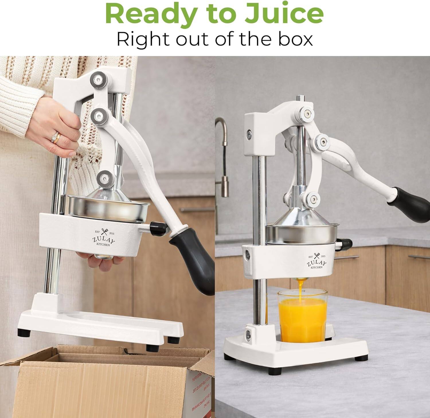 Ready to Juice  
Right out of the box  

ZULAY KITCHEN - ZULAY APHX VI Juicer