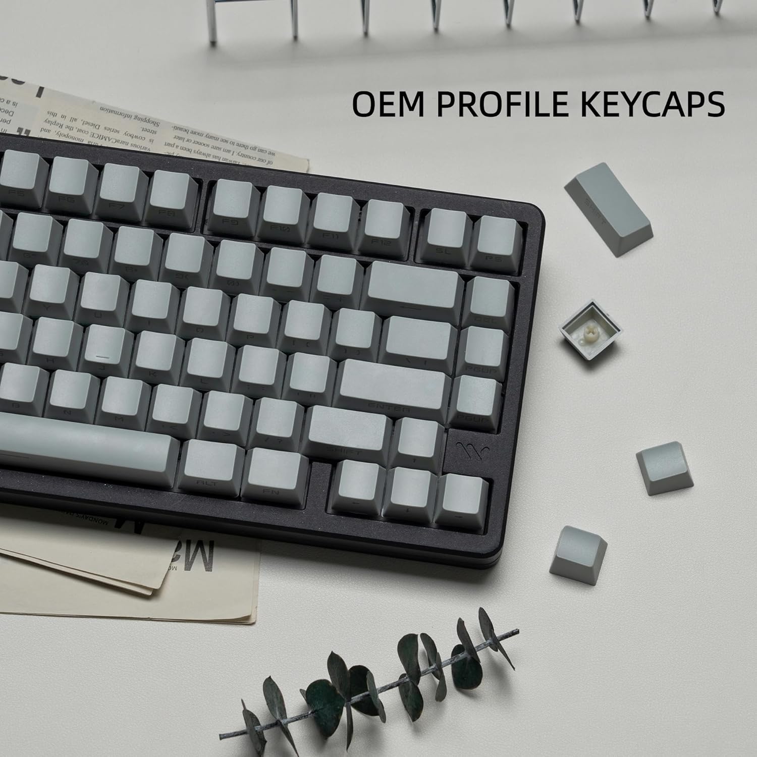 OEM PROFILE KEYCAPS