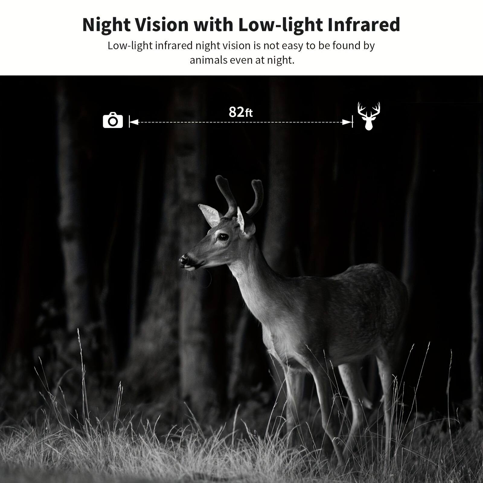 Night Vision with Low-light Infrared

Low-light infrared night vision is not easy to be found by animals even at night.

82ft