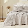 Front. Bestier - Queen Comforter Set for Kids and Teens – 3 Pcs All-Season Bedding with Skin-Friendly Lightweight Quilt & 2 Pillowcases - Cofe.
