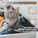 PET CYCLE AND WINTERIZE CYCLE
ELIMINATES PET HAIR
WINTERIZE YOUR WASHER-DRYER COMBO IN JUST 2 MINUTES