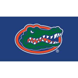 Evergreen Enterprises - Florida Gators 28" x 16" Turf Mat - Multicolor
