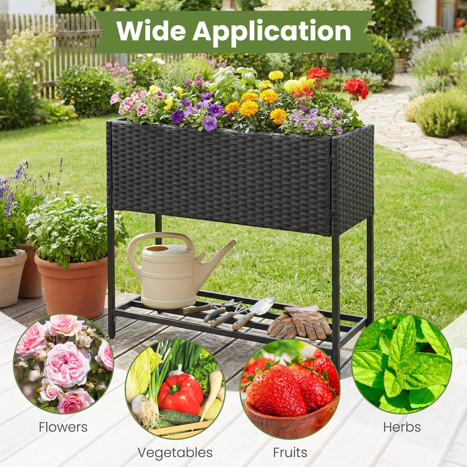 Wide Application

- Flowers
- Vegetables
- Fruits
- Herbs