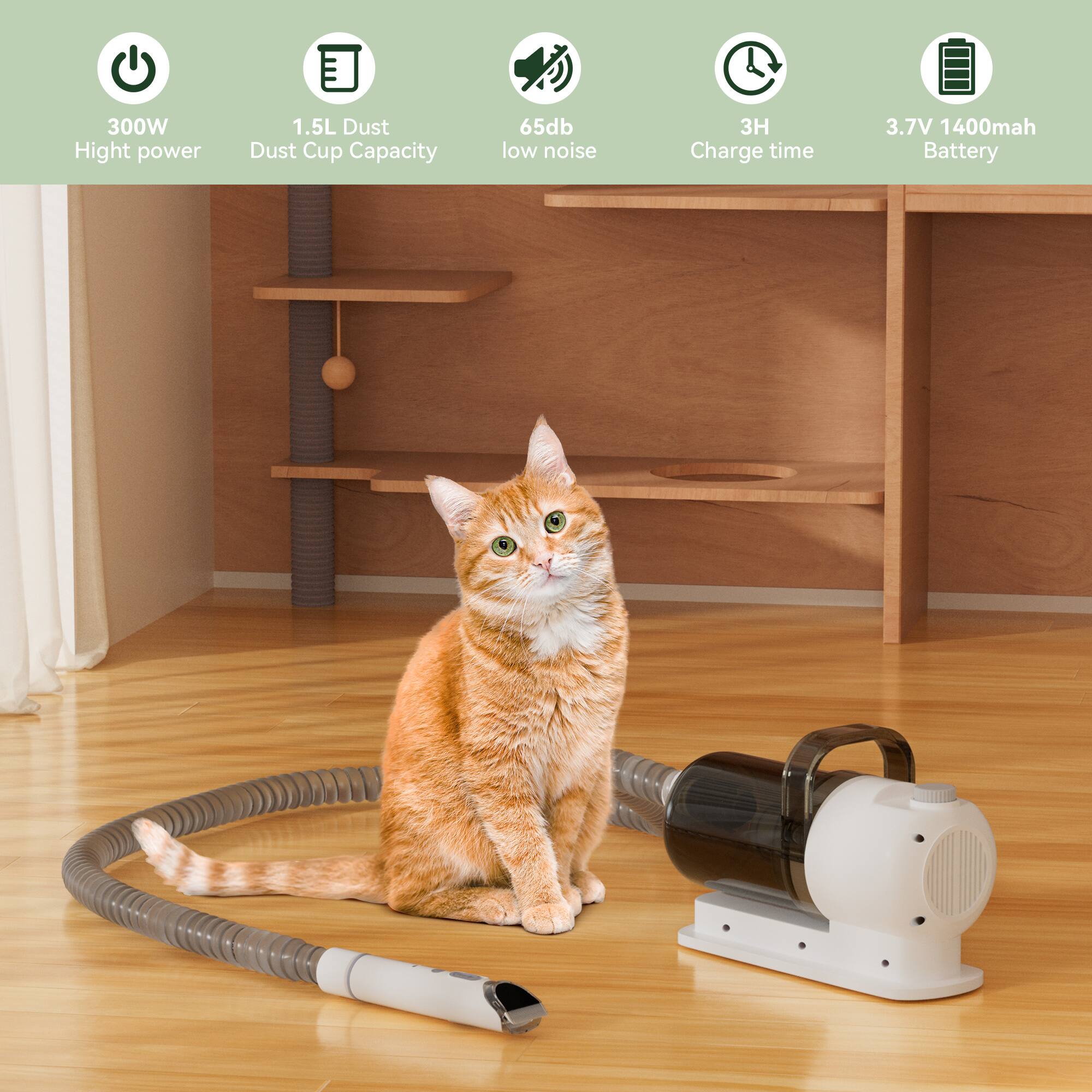 300W High power  
1.5L Dust Cup Capacity  
65dB low noise  
3H Charge time  
3.7V 1400mAh Battery