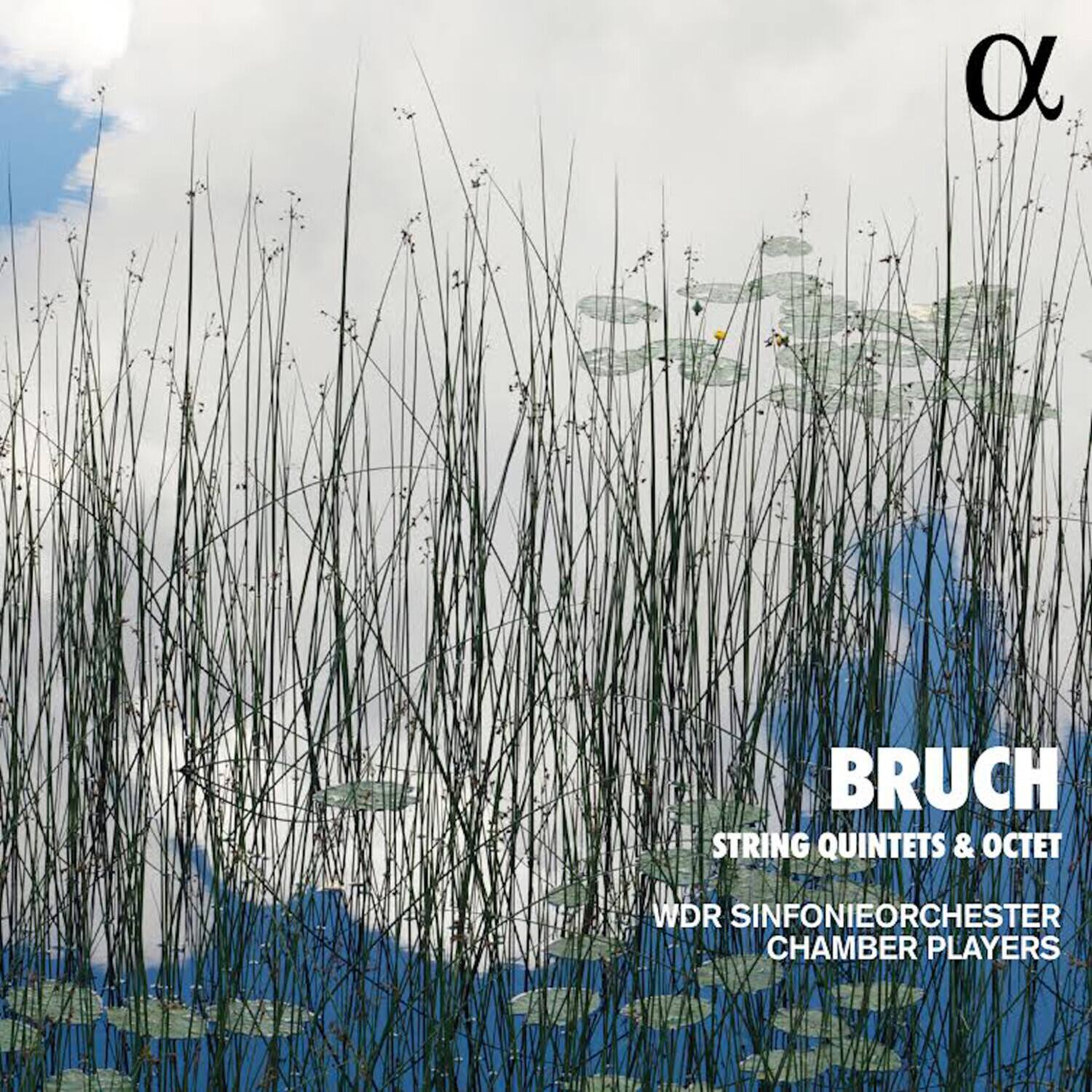 BRUCH  
STRING QUINTETS & OCTET  
WDR SINFONIEORCHESTER CHAMBER PLAYERS