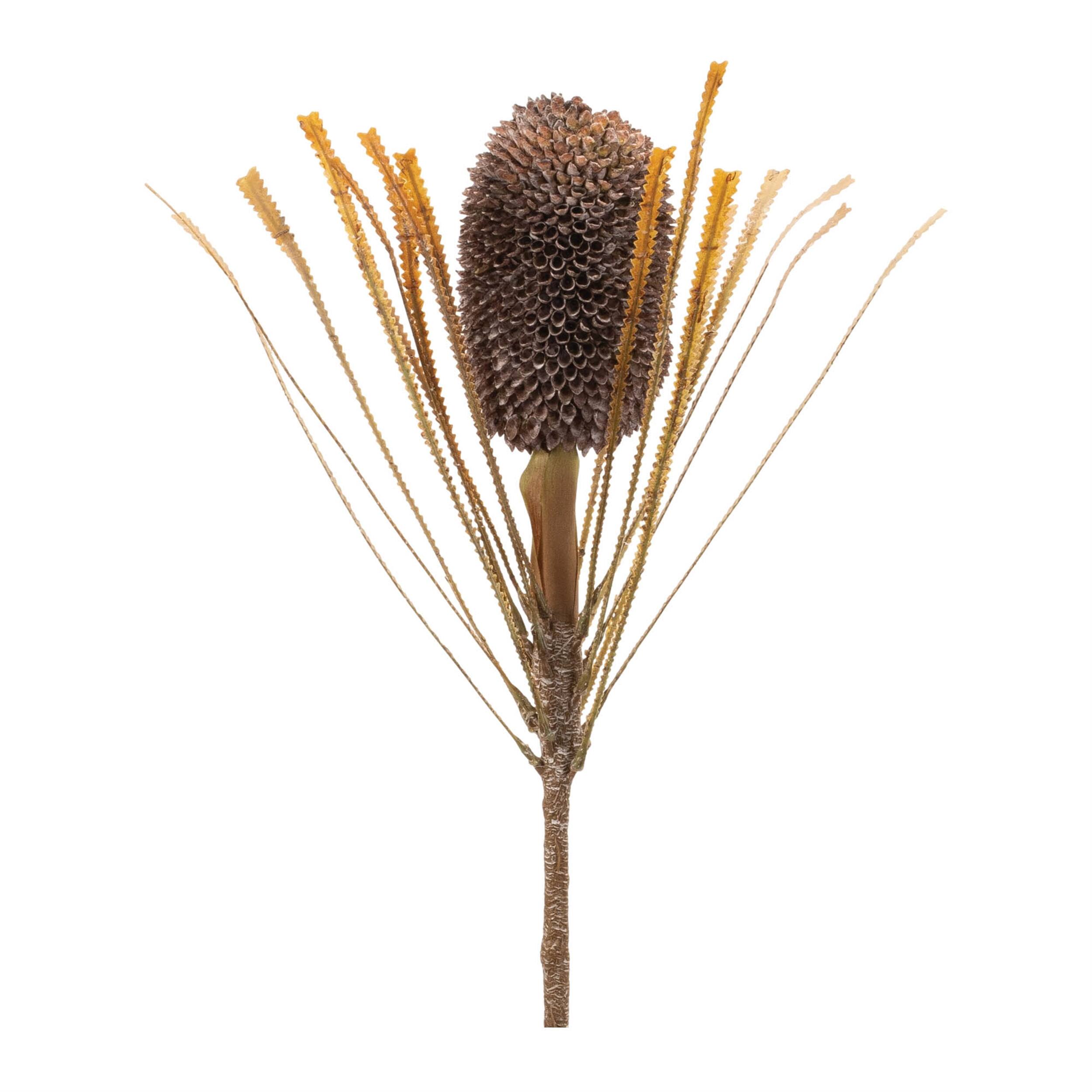 BreeBe - Fall Banksia Pod Stem (Set of 2) - Brown, BEige
