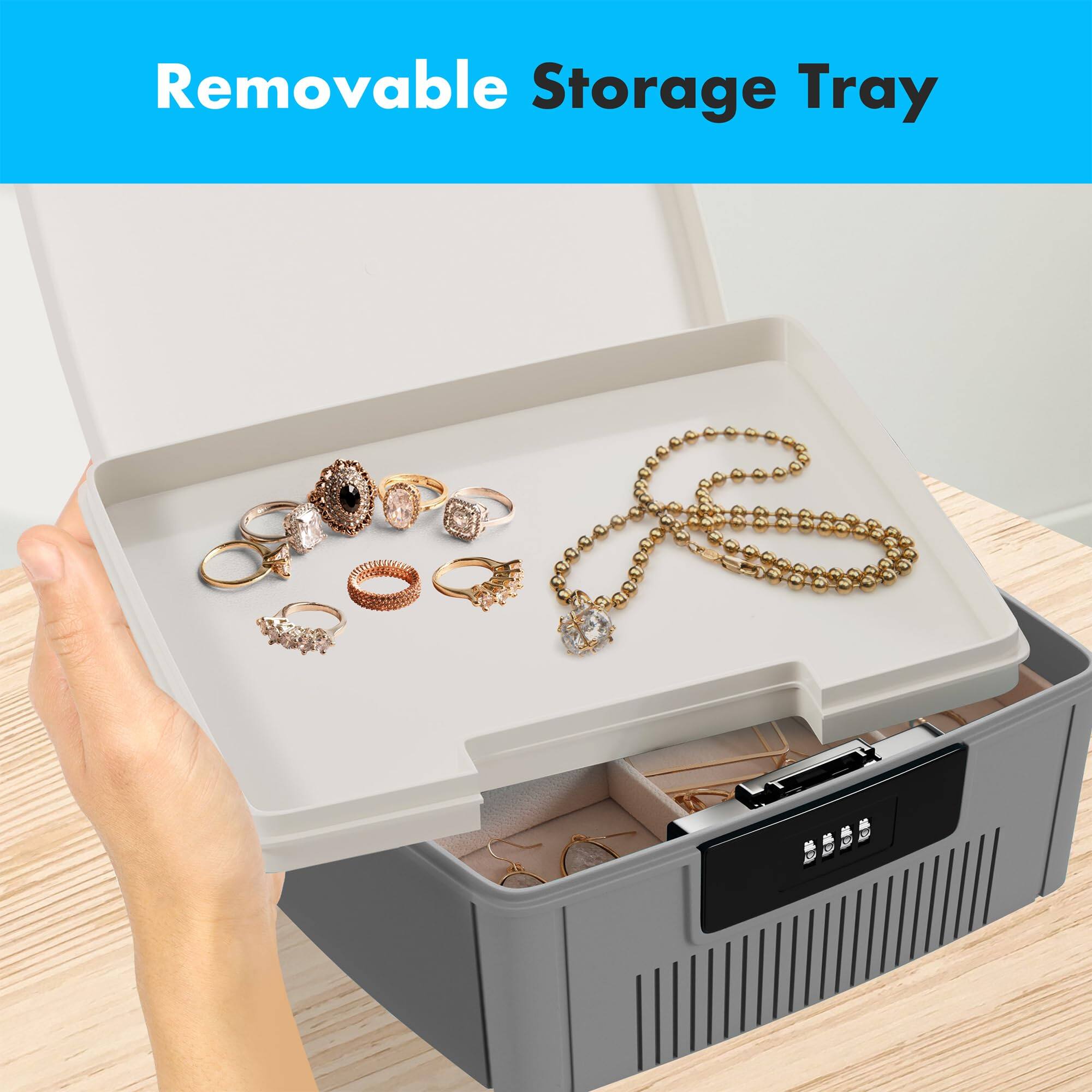 Removable Storage Tray