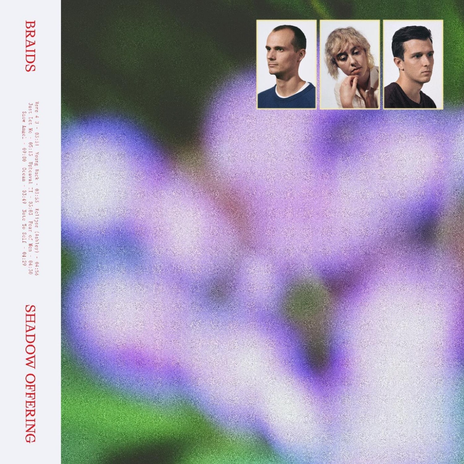 Braids - Shadow Offering   - VINYL LP price history on PriceWatchPro