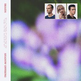 Braids - Shadow Offering - VINYL LP