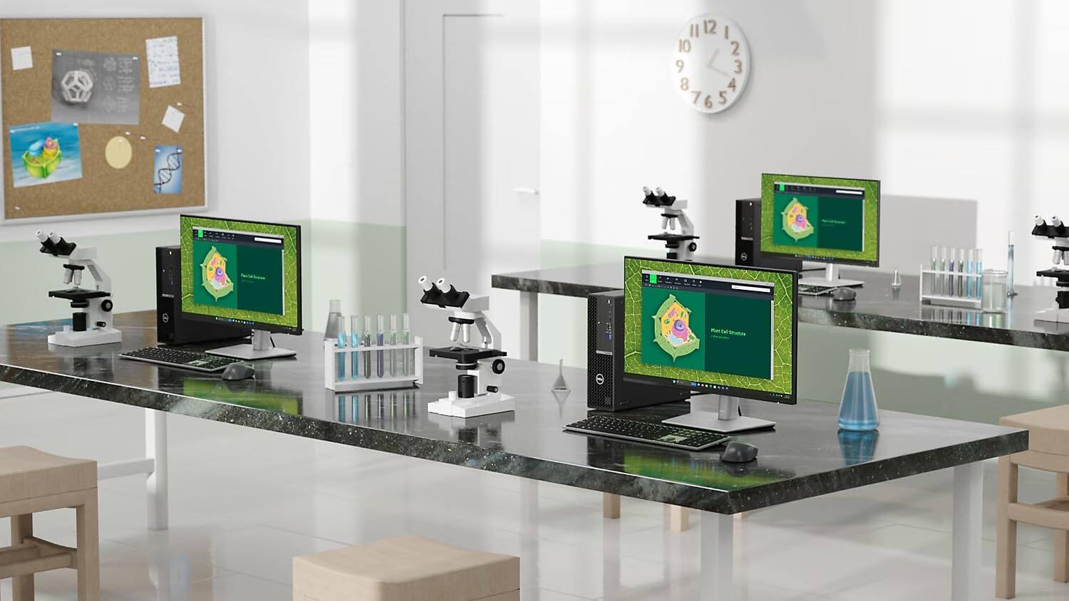 Il 12 I 10 2 9 3 8 4 7 6 5  
Mat del Seucture