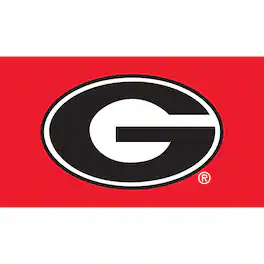 Evergreen Enterprises - Georgia Bulldogs 28" x 16" Turf Mat - Multicolor