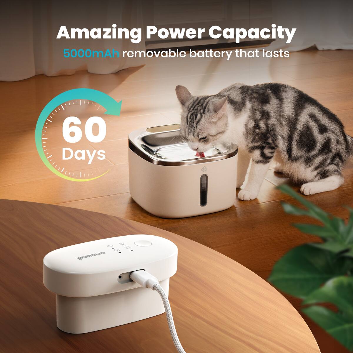 Amazing Power Capacity  
5000mAh removable battery that lasts  
60 Days