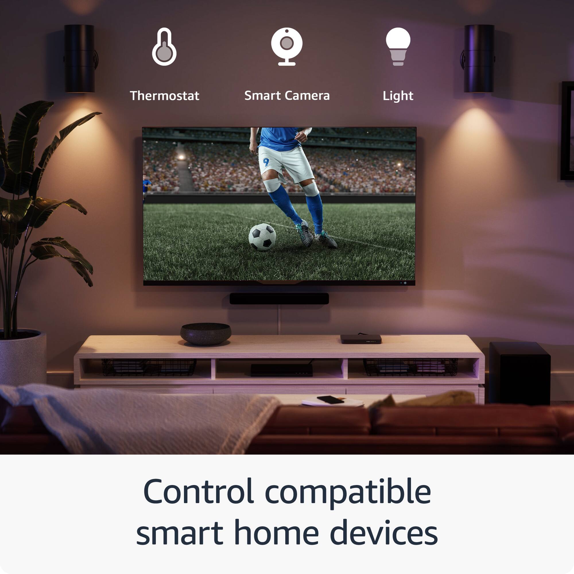 Thermostat, Smart Camera, and Light Control are compatible smart home devices.
