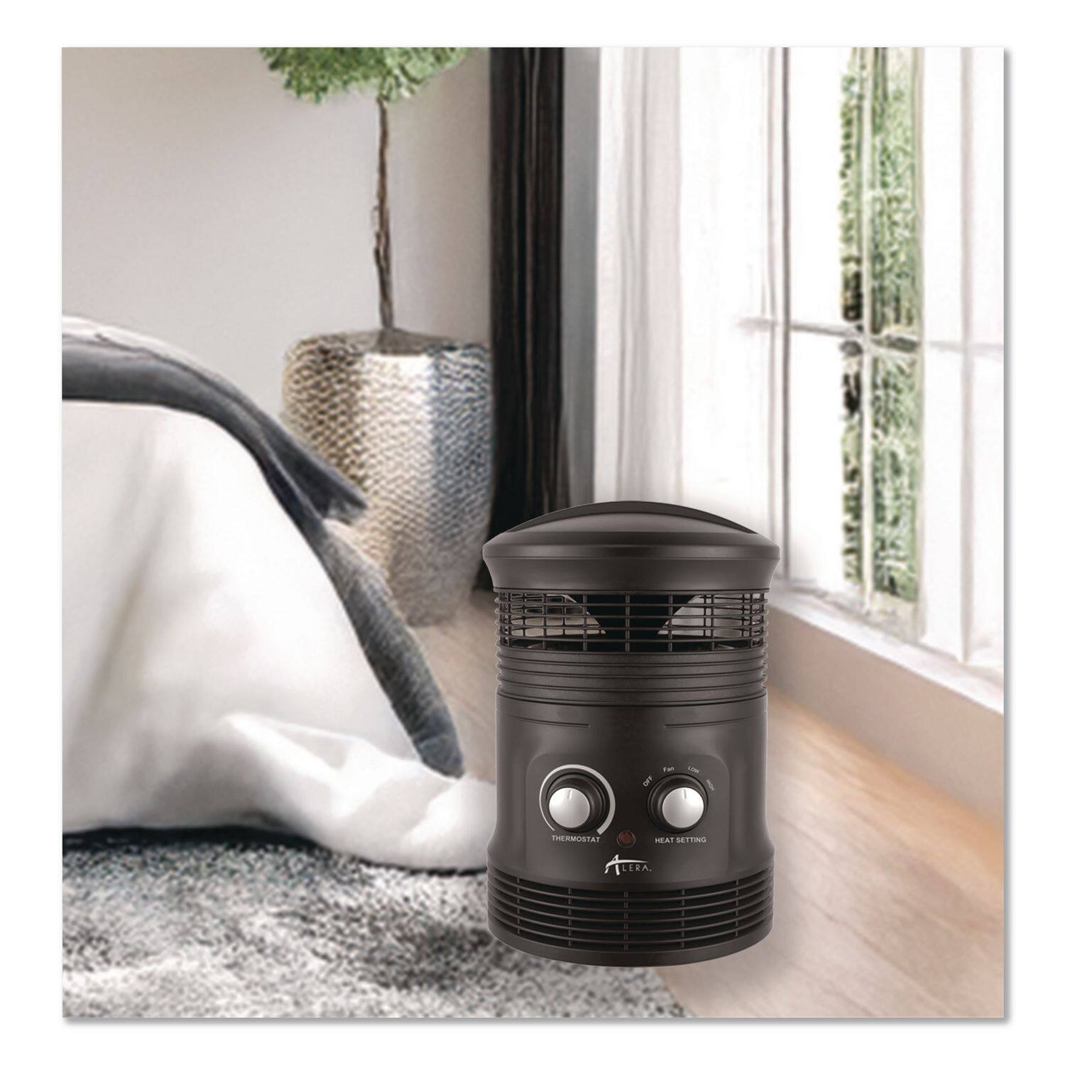 The text on the image is: "THERMOSTAT HEAT SETTING LERA"