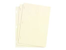 Wilson Jones - Ledger Paper, 8.5" x 11", 100 Sheets/Box - Ivory