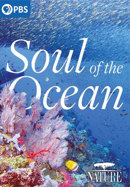 NATURE: Soul of the Ocean - DVD