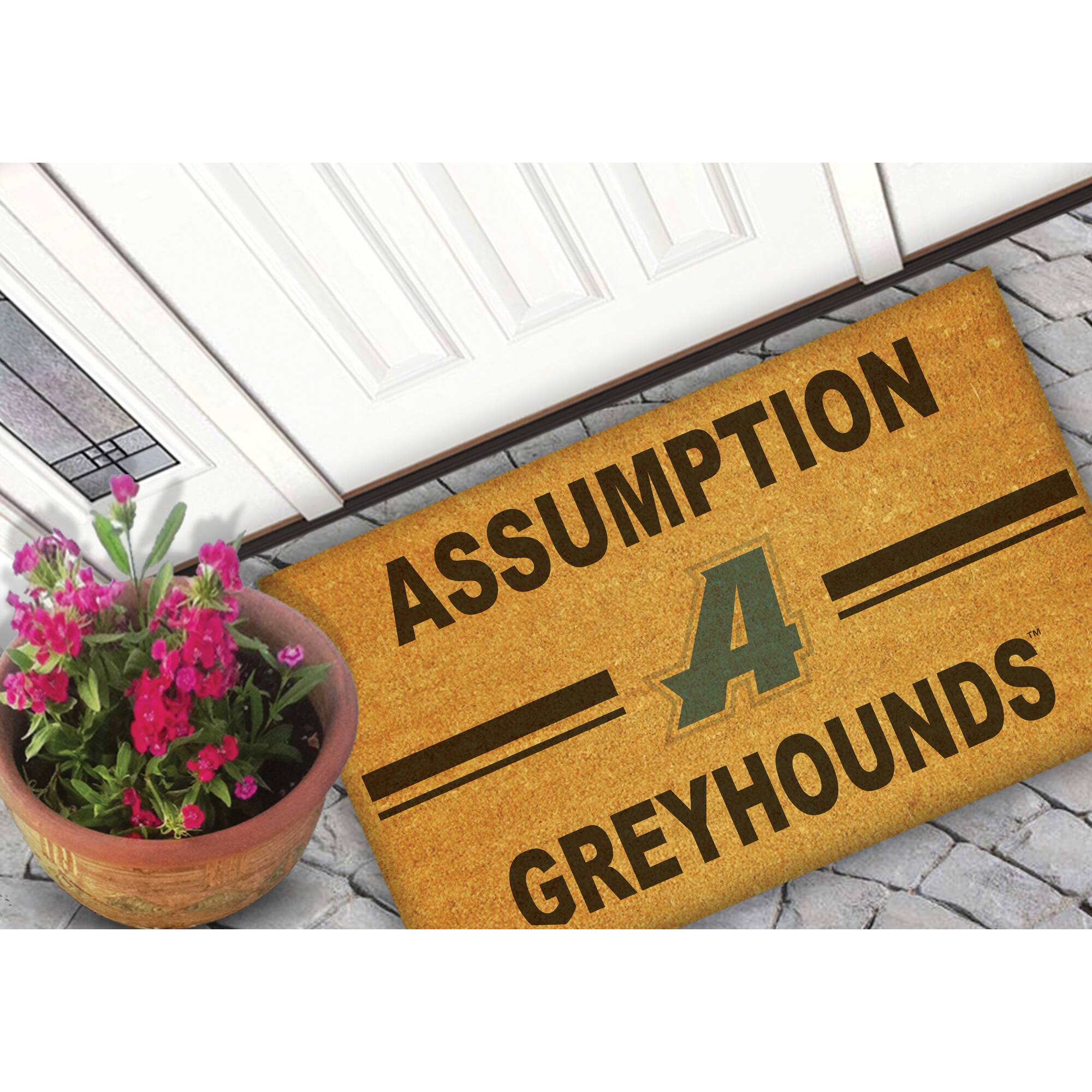 ASSUMPTION  
A  
GREYHOUNDS