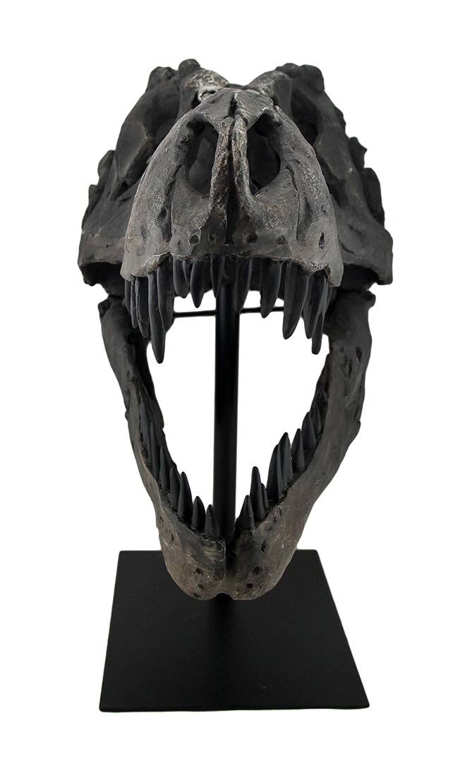 Alt View 1. Zeckos - Gray Finished Tyrannosaurus Rex Fossil Skull Statue On Museum Mount T-Rex - Gray.