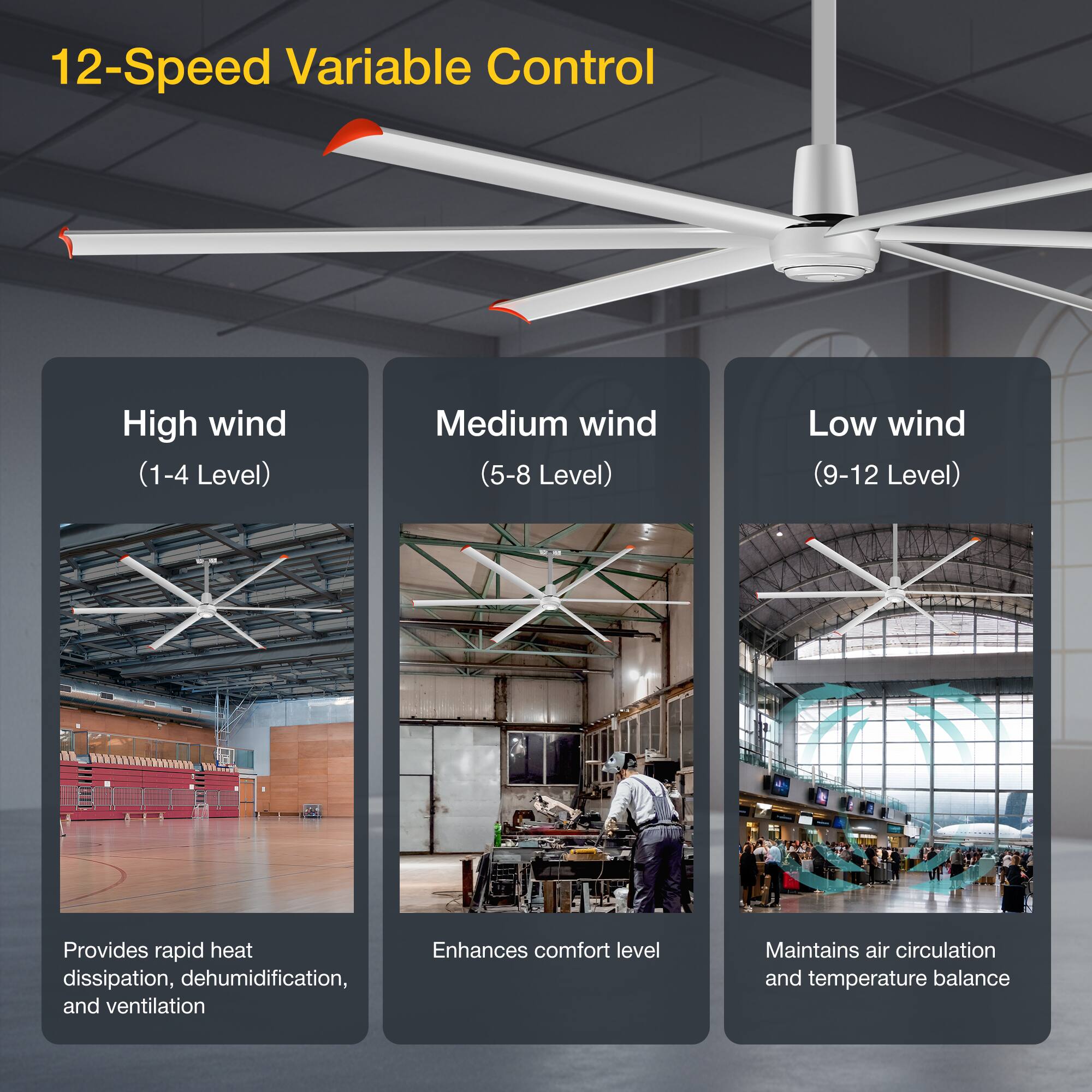 12-Speed Variable Control

High wind (1-4 Level)  
Provides rapid heat dissipation, dehumidification, and ventilation

Medium wind (5-8 Level)  
Enhances comfort level

Low wind (9-12 Level)  
Maintains air circulation and temperature balance