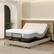 Front. Dyonery - Dyonery Adjustable Bed Frame Head/Foot Lift Pillow Tilt Smart APP Control Massage Full - Black.