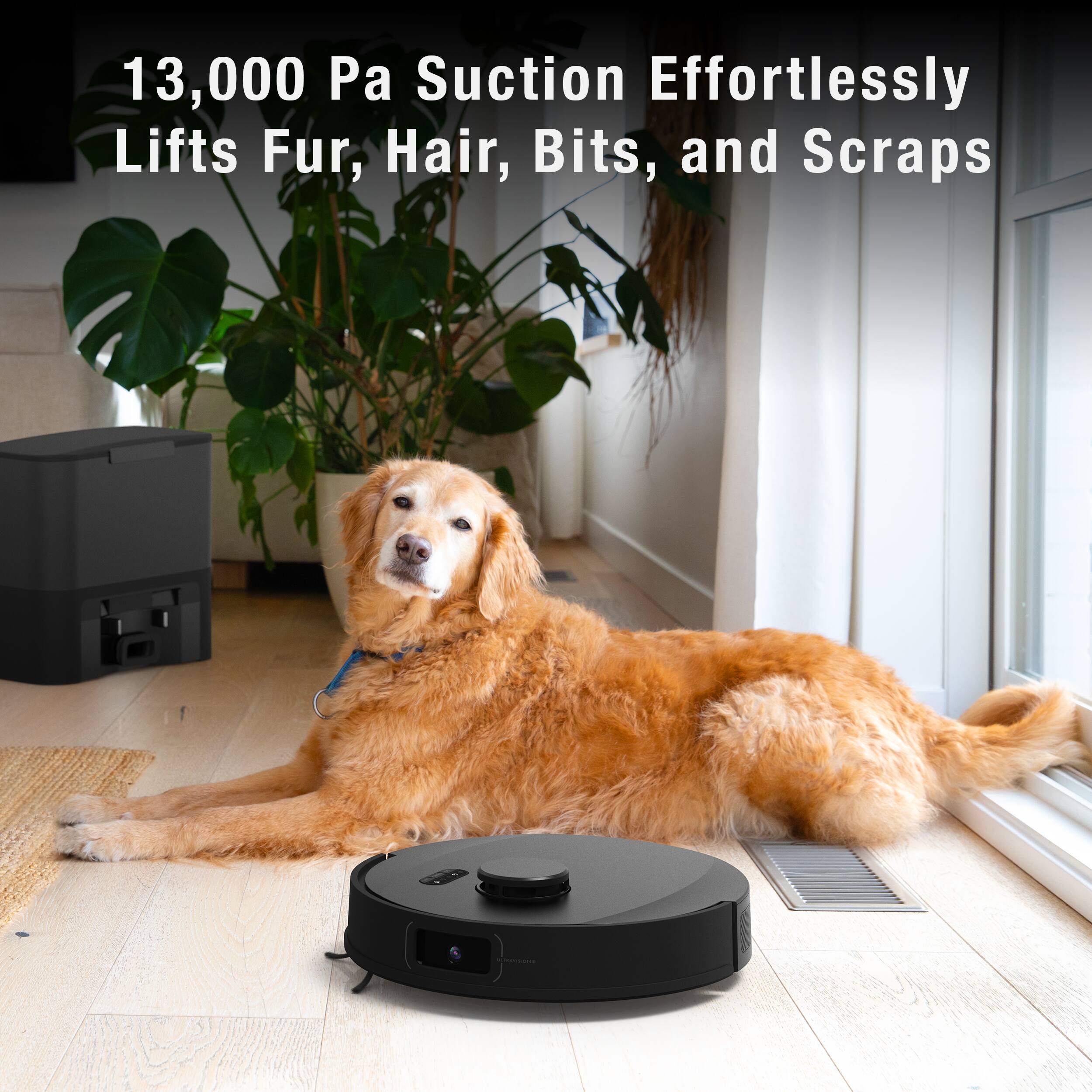13,000 Pa Suction Effortlessly Lifts Fur, Hair, Bits, and Scraps