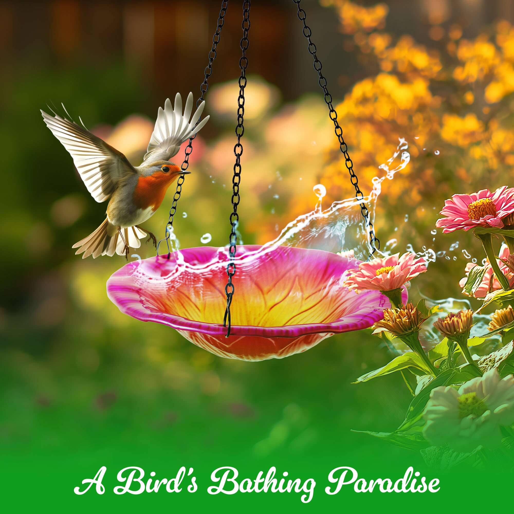 A Bird's Bathing Paradise