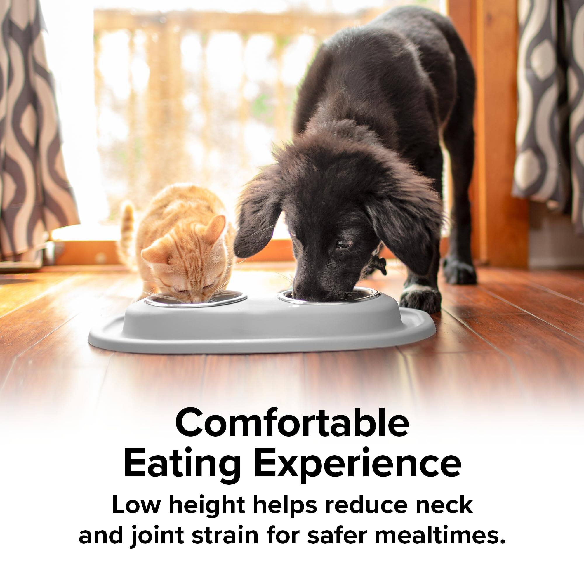 Comfortable Eating Experience  
Low height helps reduce neck and joint strain for safer mealtimes.