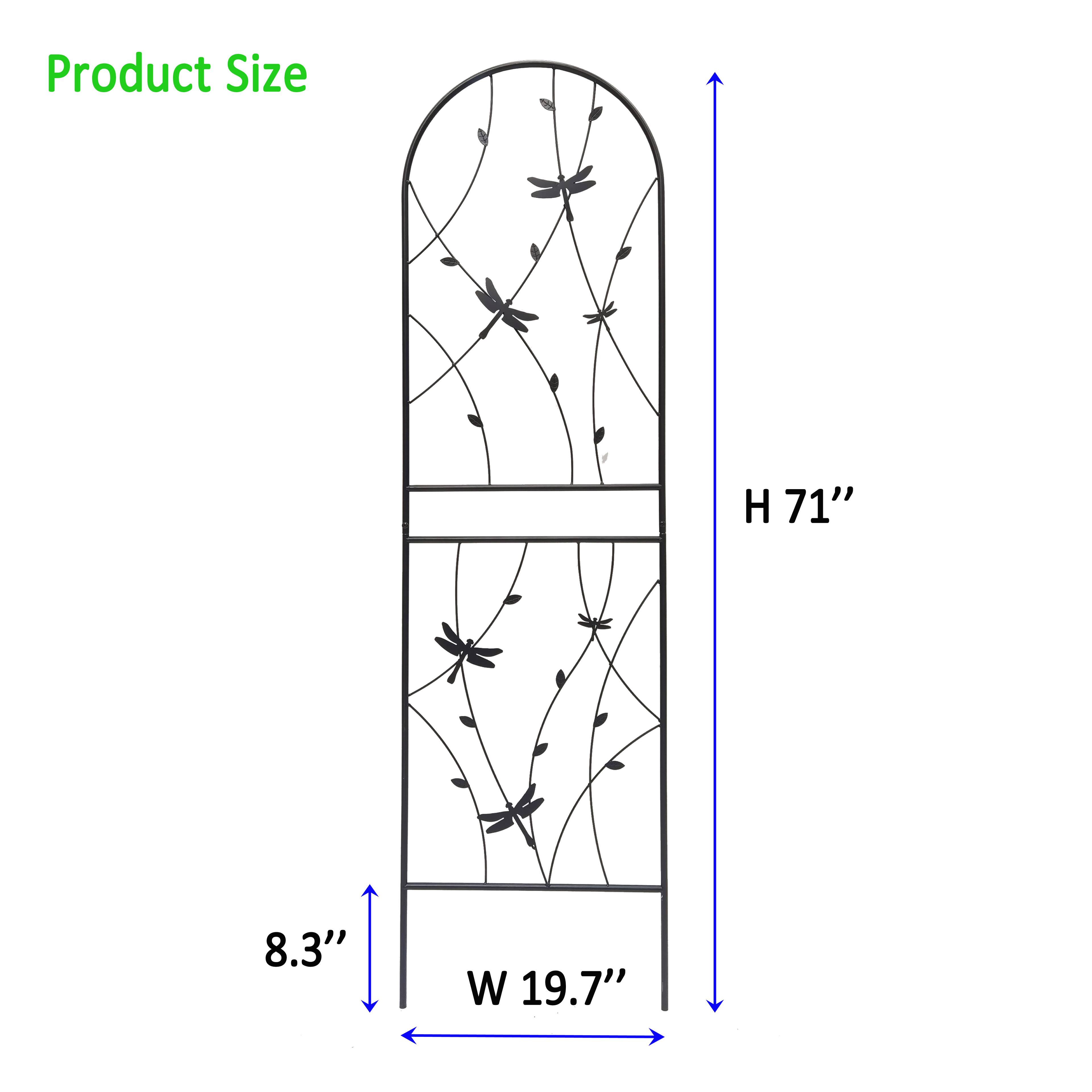 Product Size  
H 71"  
W 19.7"  
8.3"