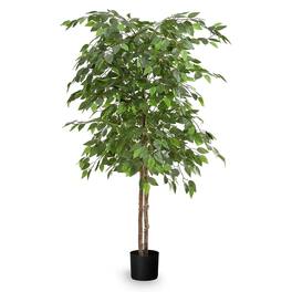 Maia Shop - Artificial Ficus Tree 5 Feet Tall Tropical Home Decoration, 60 Inches - Green