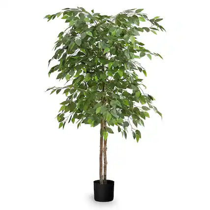 Front. Maia Shop - Maia Shop Artificial Ficus Tree 5 Feet Tall Tropical Home Decoration, 60 Inches - Green.