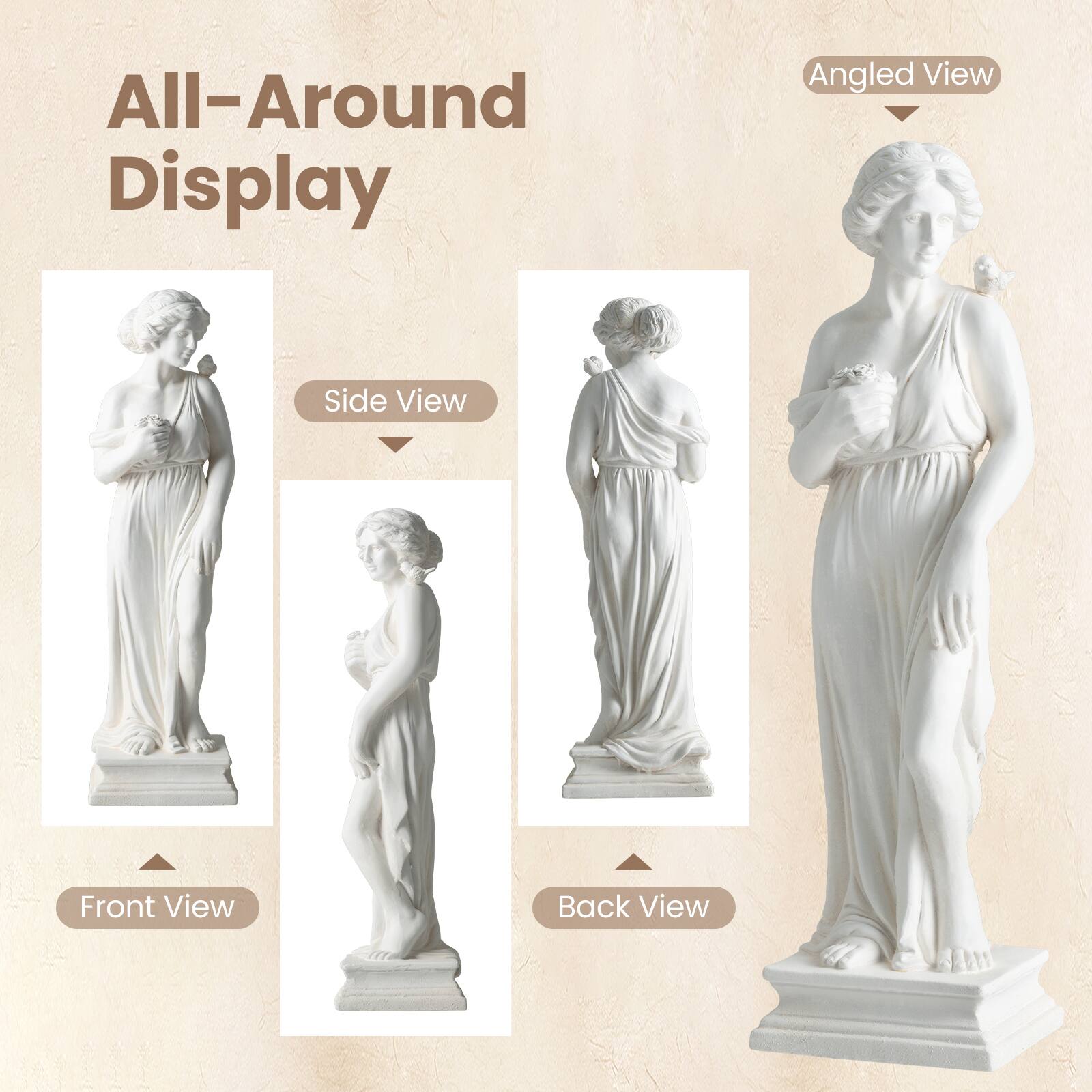 All-Around Display

- Angled View
- Side View
- Front View
- Back View