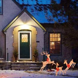 BreeBe - 3-Piece Pre-Lit Reindeer Family Outdoor Christmas Display with 255 LED Lights - Golden